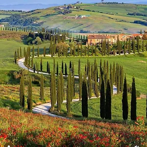 Baccoleno , Asciano Italië